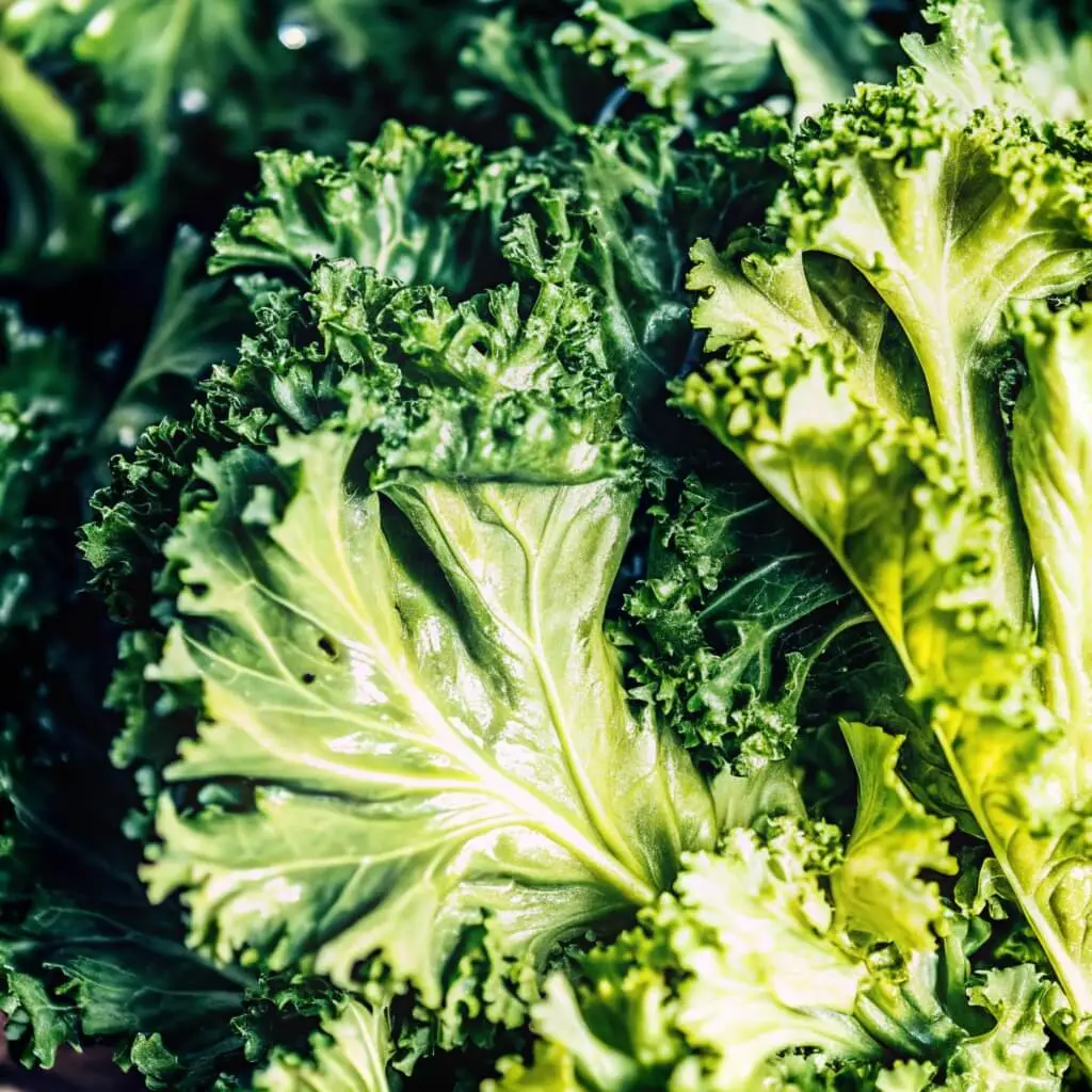 Crispy Air Fryer Kale Chips: A Healthy Snack in Minutes